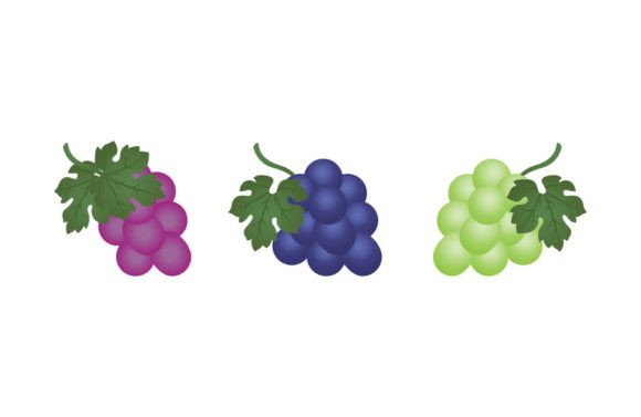Download Grape Icon Fruit Free - Icon Collection